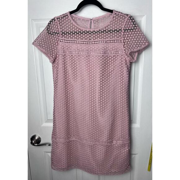 Ann Taylor Dresses & Skirts - Ann Taylor Petite Shift Lined Lace Overlay Dress Blush Dusty Rose Size 4P